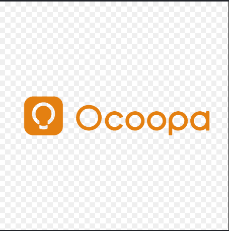 Ocoopa Rechargeable Hand Warmers